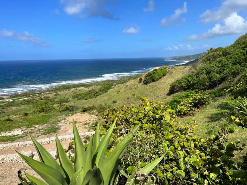 Barbados Highlights Tour - Rihanna Drive and the celebrity connection