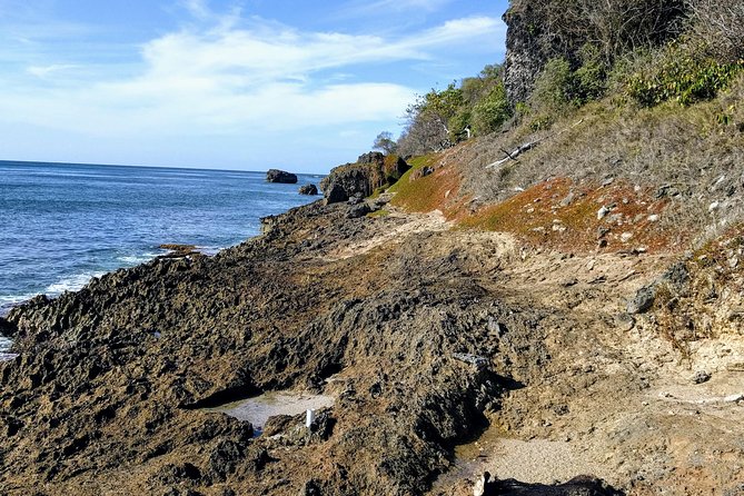 Barbados Hiking and Sightseeing Tour (Transport Included) - Why an electric bike works well in Barbados