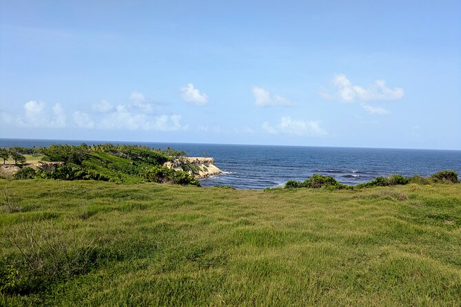 Barbados Hiking and Sightseeing Tour (Transport Included) - Conset Cutting and Conset Bay Fishing Village