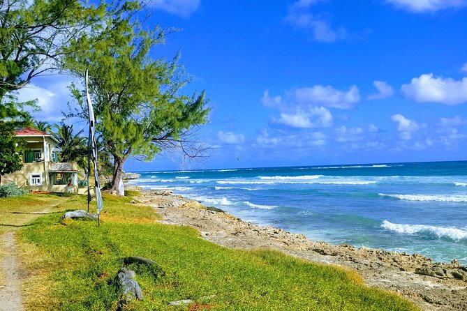 Barbados Hiking and Sightseeing Tour (Transport Included) - Wildlife and the changing coast
