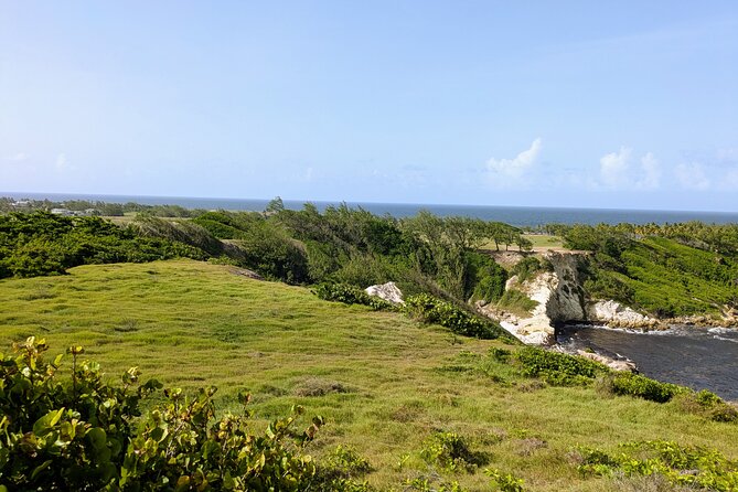 Barbados Hiking and Sightseeing Tour (Transport Included) - What the small group changes