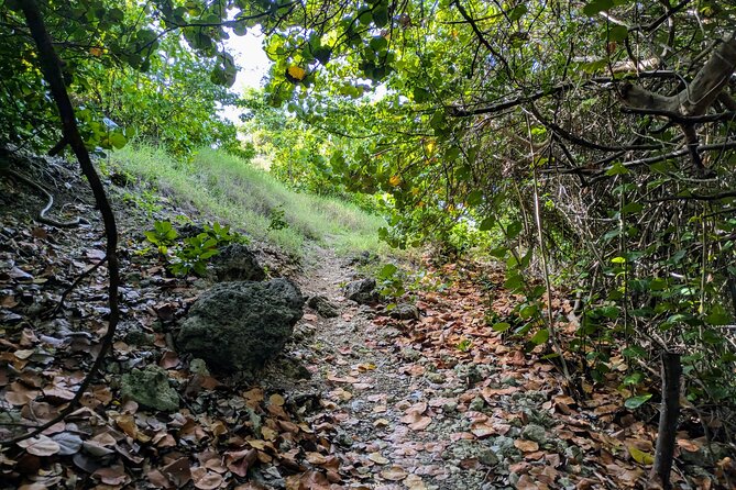 Barbados Hiking and Sightseeing Tour (Transport Included) - Starting near Bayfield and heading toward the coast