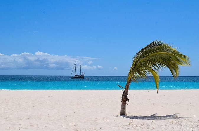 Barbados Island Highlights Half-Day Tour - The Garrison Savannah and Barbados’ road to independence