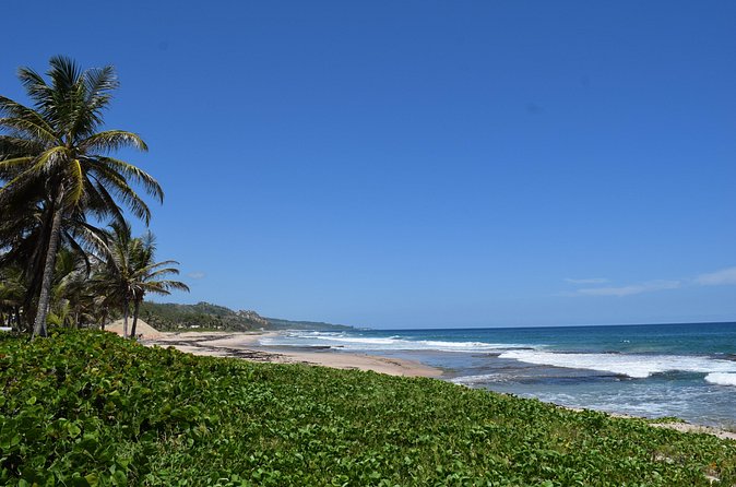 Barbados Island Highlights Half-Day Tour - Rihanna Drive and a modern Barbados connection