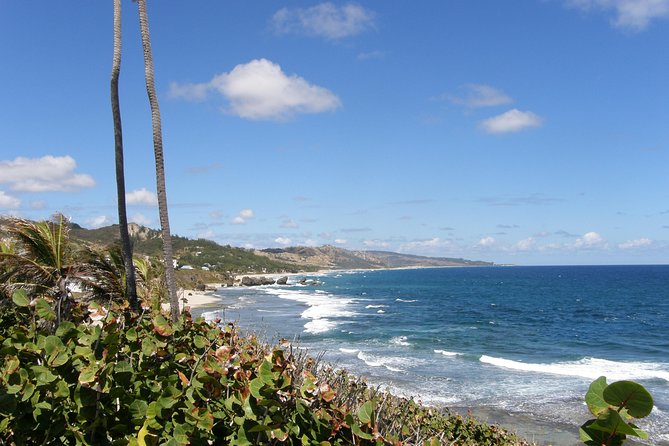 Barbados Island Tour, Monkey feeding & Swimming with the Turtles - The road trip is part of the experience