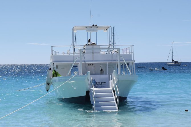 Barbados Island Tour, Monkey feeding & Swimming with the Turtles - How active is the snorkeling?