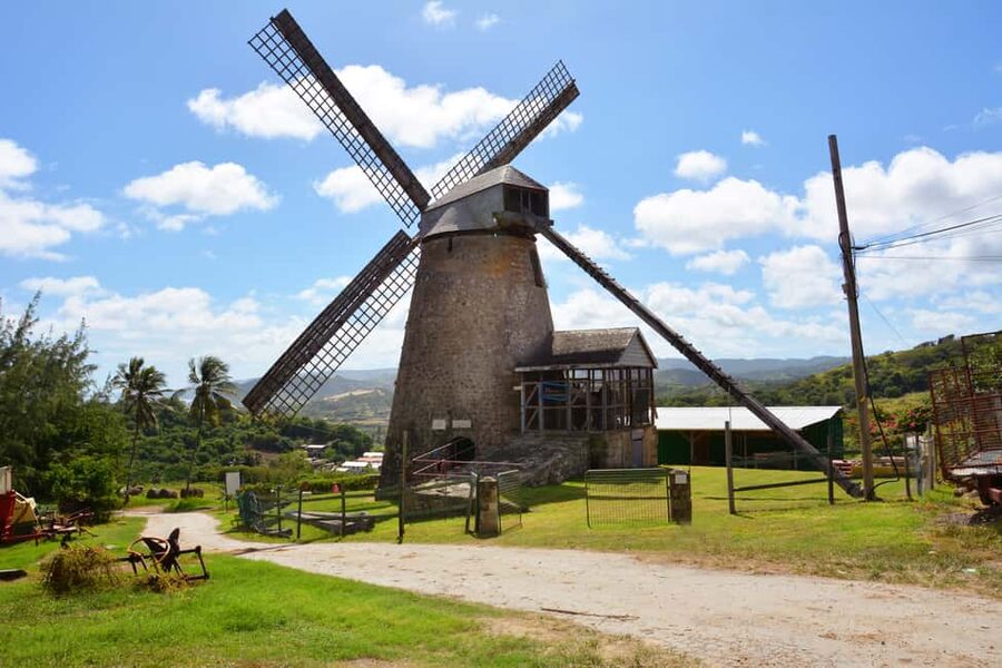 Barbados: Island Tour with Animal Flower Cave and Lunch - Key points to know before booking