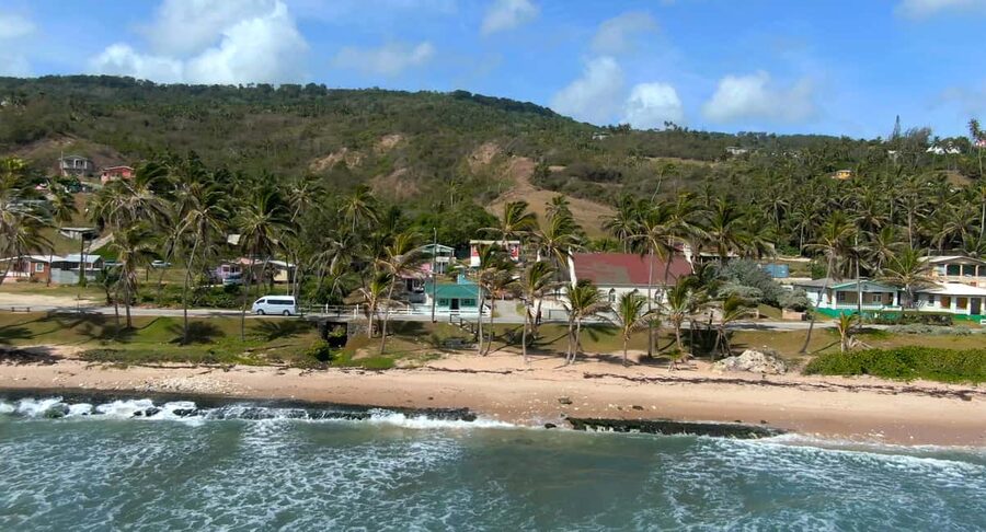 Barbados: Island Tour with Animal Flower Cave and Lunch - Who should book this tour