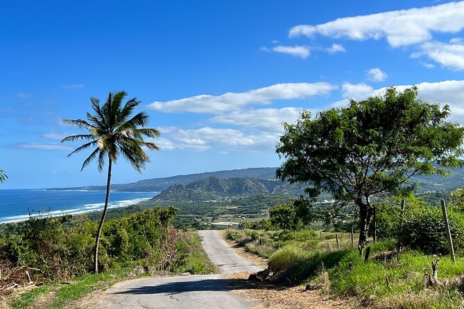 Barbados Paradise Tour with Hotel Transfers - Key points to know before booking