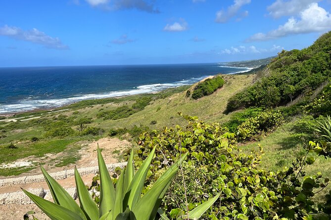Barbados Paradise Tour with Hotel Transfers - Why this six-hour route works