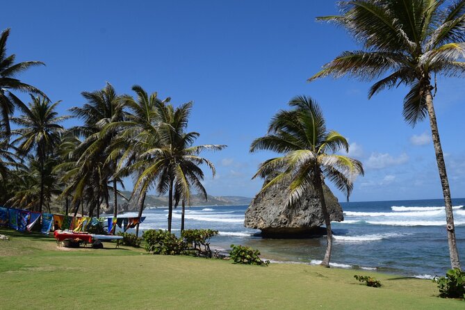 Barbados Paradise Tour with Hotel Transfers - Cherry Tree Hill and the Scotland District