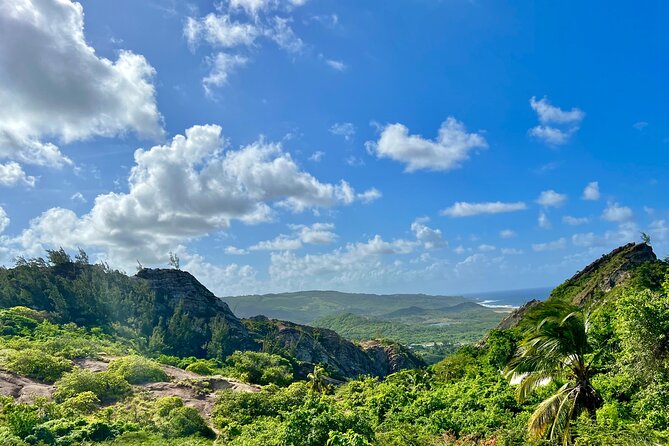 Barbados Paradise Tour with Hotel Transfers - Bathsheba, mushroom rocks, and the Soup Bowl