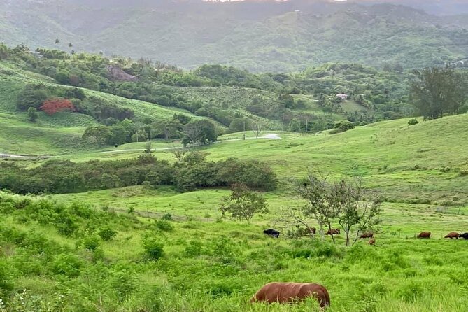 Barbados Paradise Tour with Hotel Transfers - Gun Hill and the Garrison