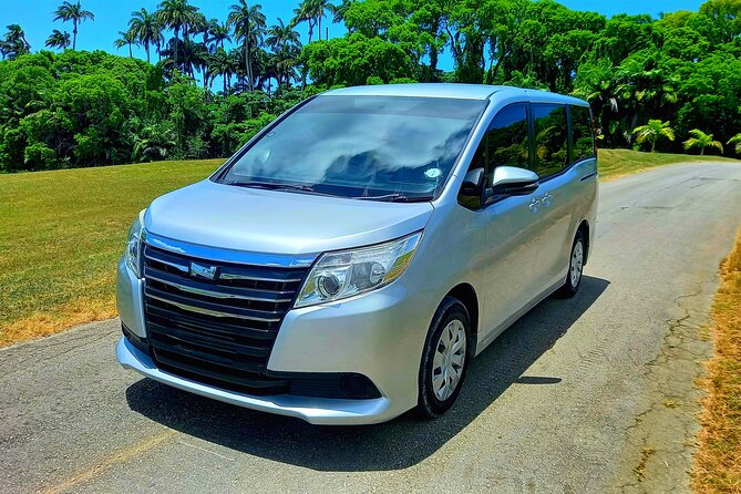 Barbados Private Arrival Transfer from Airport (BGI) - From baggage claim to a private, cooled vehicle