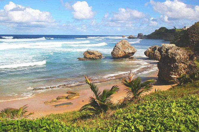 Barbados Private Custom Island Tour - Key points to know before booking