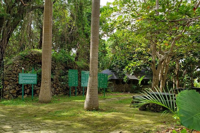 Barbados Private Custom Island Tour - St. Nicholas Abbey adds a full historic stop