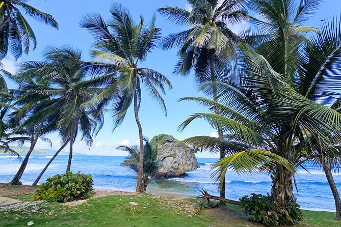 Barbados Private Island Tour: A Fully Customizable Experience - A Barbados tour that lets you choose the day