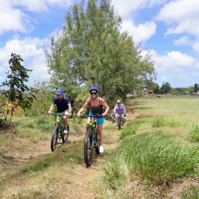 Rural Tracks and Trails Guided E-Bike Tour