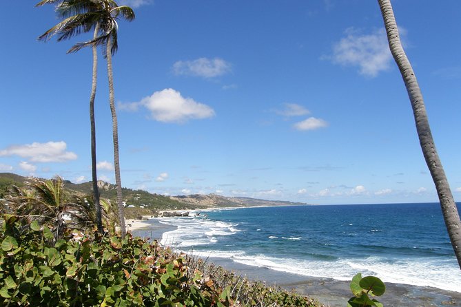 Barbados Shore Excursion Barbados Paradise Sightseeing Tour - A six-hour introduction to Barbados
