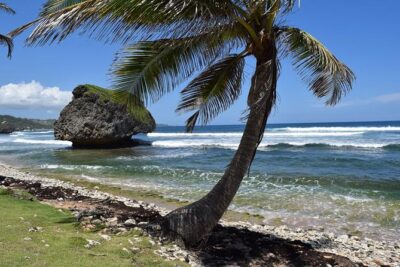 Barbados Shore Excursion Barbados Paradise Sightseeing Tour