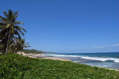 Barbados Shore Excursion: Barbados Surf & Turf