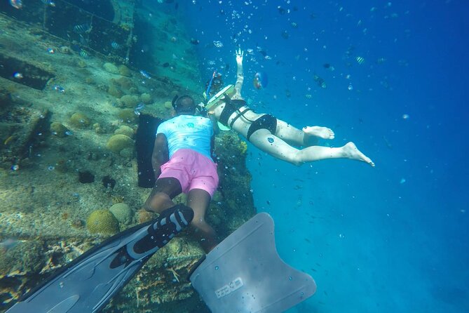 Barbados Shore Excursion: Carlisle Bay Turtle & Shipwreck - What to bring for an easier outing