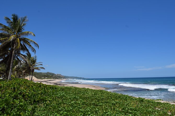 Barbados Shore Excursion Island Tour and Snorkel Cruise - Key points to know before booking