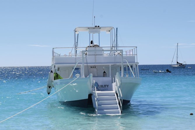 Barbados Shore Excursion Snorkel cruise and Beach Day - Why this Barbados shore trip works well