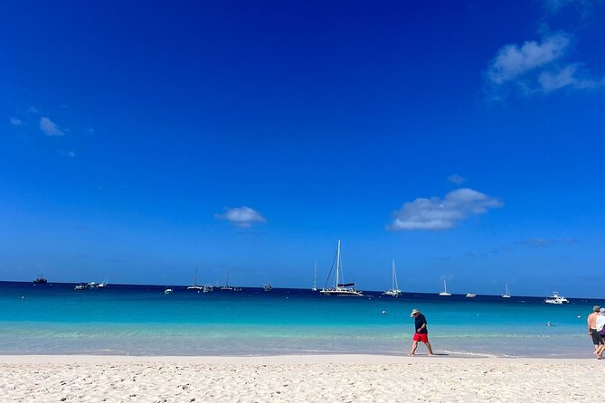 Barbados Shore Excursion: Wildlife Encounter and Beach Day - Carlisle Bay and Savvy on the Bay are the day’s easygoing reward