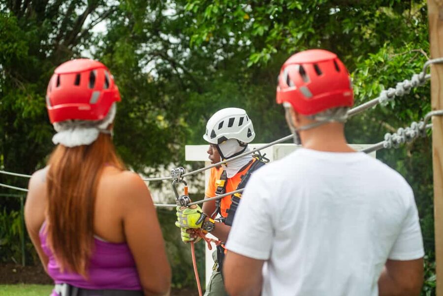 Barbados: Signature Park Pass & Monkey Zip Experience - Taking the Monkey Zipline 100 Feet Above the Ground
