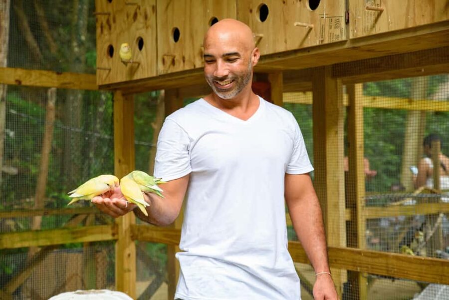Barbados: Signature Park Pass & Monkey Zip Experience - The Mount Gay Rum Exhibit