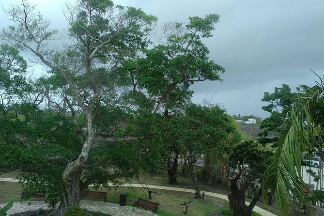 Barbados through the eyes of a local - George Washington House and an unusual connection