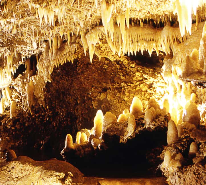 Barbados: Tour of Harrison's Cave & Hunte's Gardens - The guides make the road time worthwhile