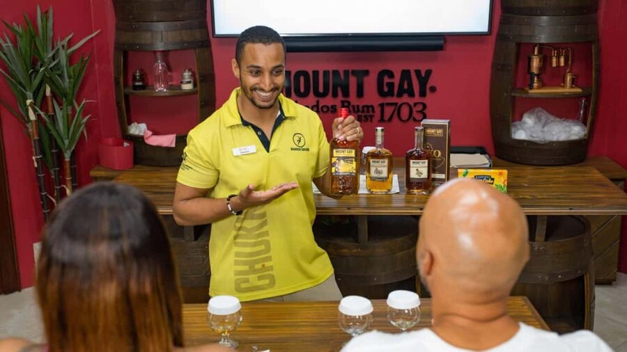 Barbados: Trail, Tram & Rum Experience - Key points at a glance