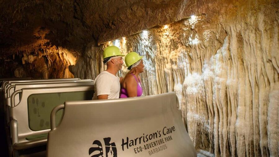 Barbados: Trail, Tram & Rum Experience - The day is best for mixed interests