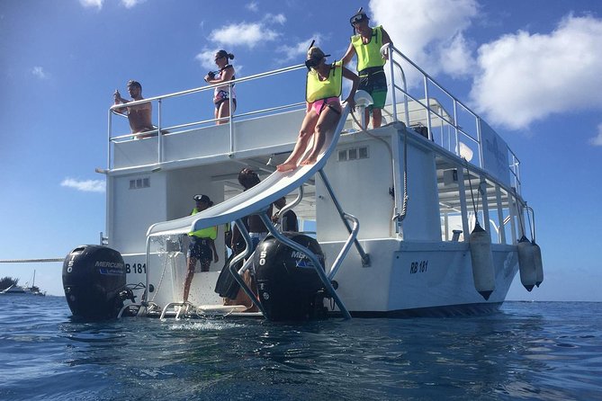 Barbados Turtle and Shipwreck Snorkel Adventure - From Bridgetown to Carlisle Bay in 90 minutes