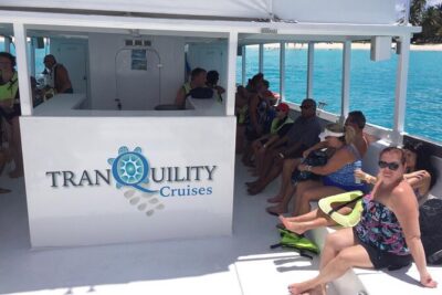 Barbados Turtle and Shipwreck Snorkel Adventure