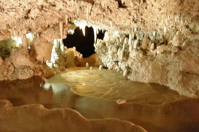 Beautiful Barbados: Harrisons Cave & Beach Day Tour - Key points at a glance