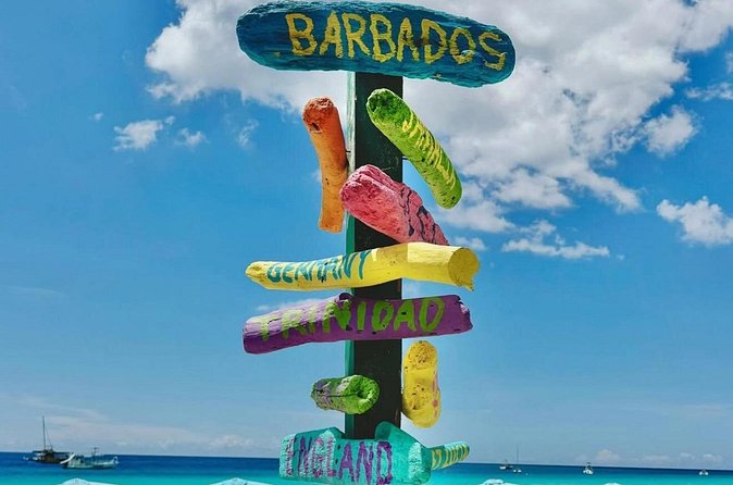 Beautiful Barbados: Harrisons Cave & Beach Day Tour - Who will get the most from this outing