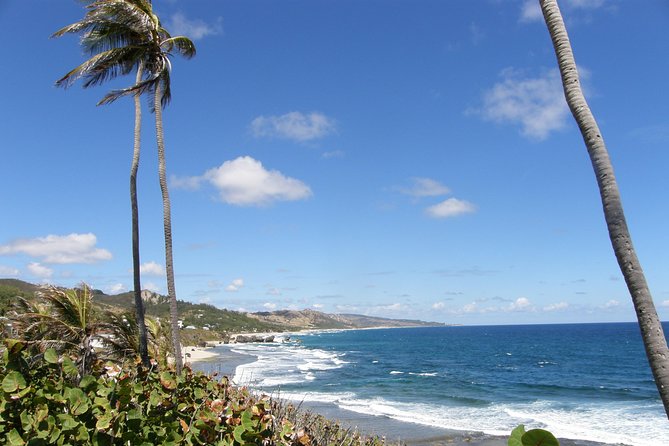 Beautiful Coastal Sightseeing Tour of Barbados - Codrington College and St. John’s Church