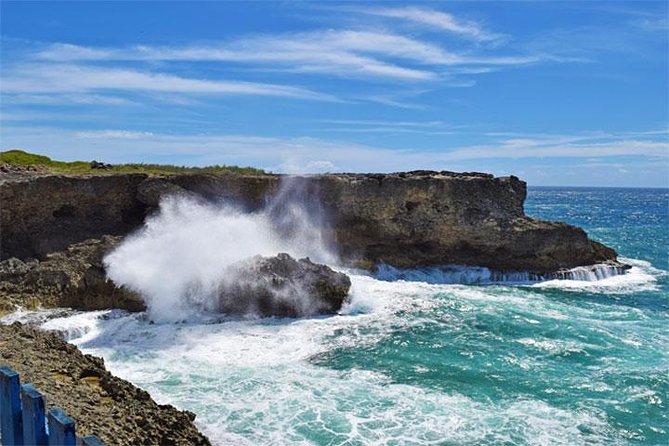 Beautiful Coastal Sightseeing Tour of Barbados - Bridgetown and the Garrison: a quick historical start