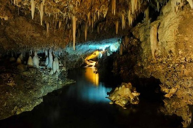 Breathtaking Wonders - Harrisons Cave and Hunte's Gardens - Two very different sides of Barbados in five hours