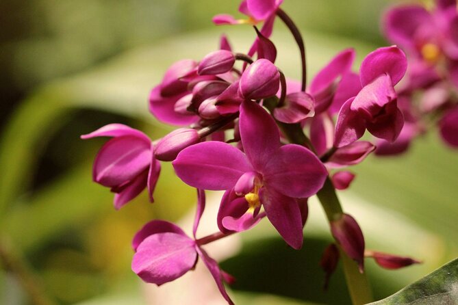 Breathtaking Wonders - Harrisons Cave and Hunte's Gardens - Timing, comfort, and group size