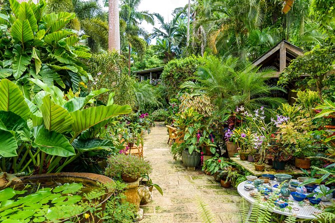 Breathtaking Wonders - Harrisons Cave and Hunte's Gardens - Inside Harrison’s Cave by tram