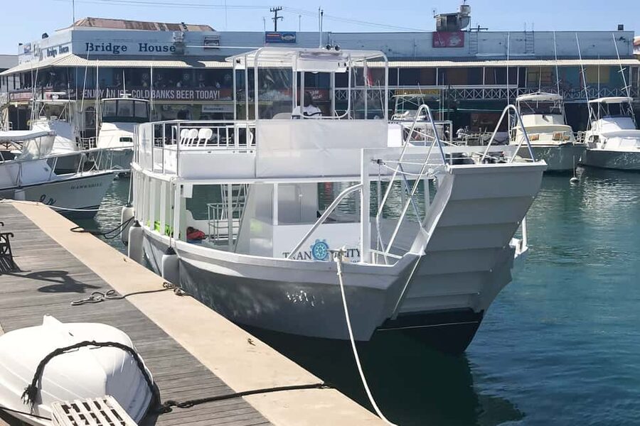 Bridgetown: Carlisle Bay Turtle and Shipwreck Boat Cruise - Timing, crowds, and motion sickness
