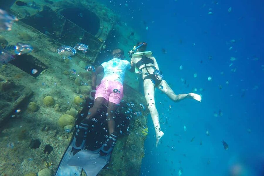 Bridgetown: Carlisle Bay Turtle and Shipwreck Boat Cruise - Meeting at Savvy on The Bay