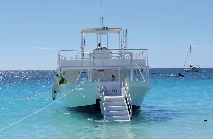 Bridgetown: Wildlife Reserve & Carlisle Bay Tour with Cruise - Monkeys at the Barbados Wildlife Reserve