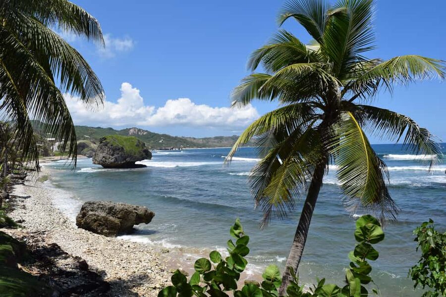 Bridgetown: Wildlife Reserve Tour and Carlisle Bay Cruise - Pickup details can make or break the morning
