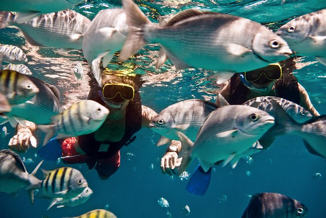 Catamaran and Snorkeling Cruise At Carlisle Bay - The Bajan buffet and open bar