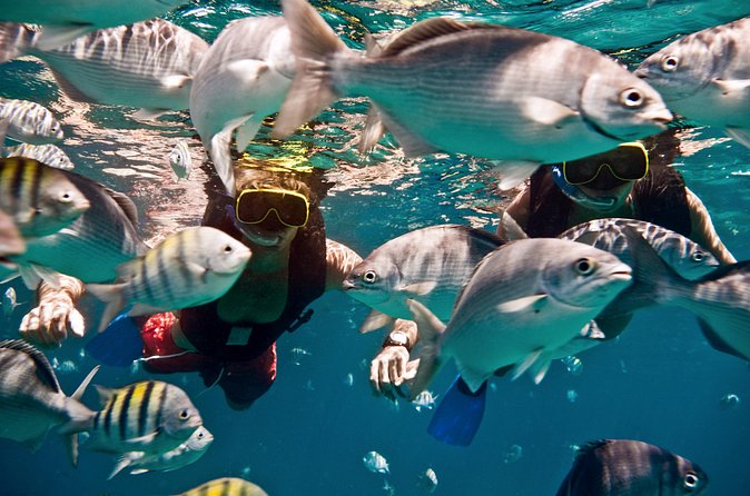 Catamaran and Snorkeling Cruise At Carlisle Bay - Pickup and booking details deserve extra care